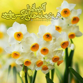 موسسه قرآنی زینبیه کلاته خیج