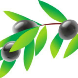 🌿🌿 زیتون 🌿🌿