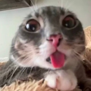 @zhen4ik4_30