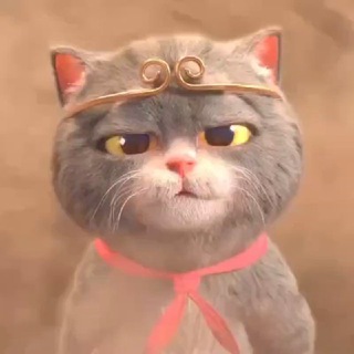 @zhengzhu
