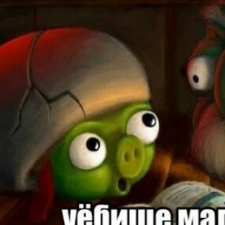 @zhuleck