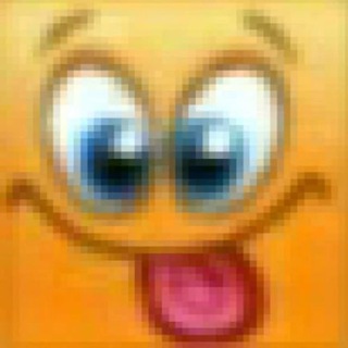 @zingysupport