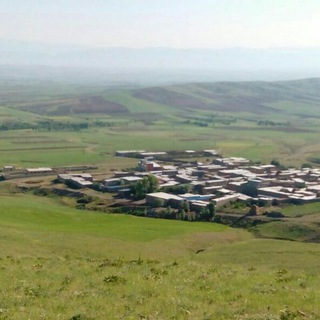 🍀🍀🍀🍀زیرکان🍀🍀🍀🍀