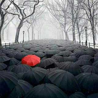 𑹋ٍ?ًٍ⚰ًٍزًٍيًٍرًٍتًٍاًٍبًٍـًٍـًٍـًٍـًٍـًٍـًٍـًٍـًٍوًٍتًٍ⚰ًٍ𑹋ٍ?ًٍ