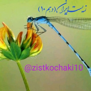 @zistkochaki10