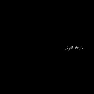 . ◟َِ 𝘔𝘺 𝘚𝘵𝘶𝘧𝘧 .𓃕