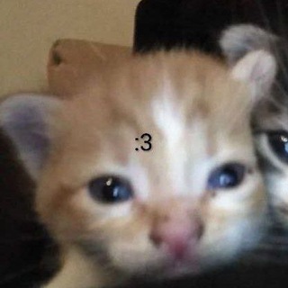 @zx_poop