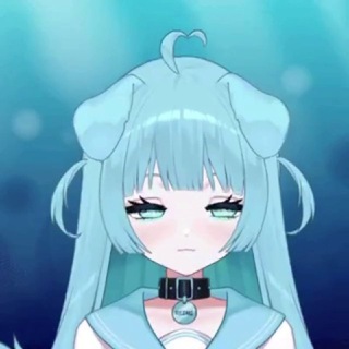 @zxdyp