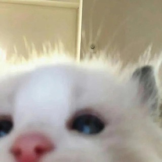 @zxinmhp