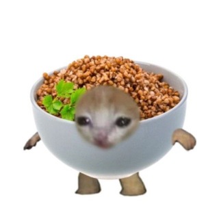 @zzak4