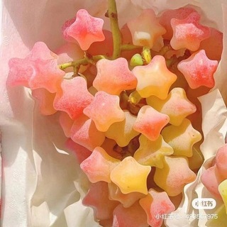 @Zzzui_iu